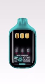 Boutiq Switch V5 – 2 Gram 3-in-1 THC Disposable Vapes